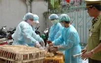 Bộ Y tế họp khẩn về phòng chống cúm A/H7N9